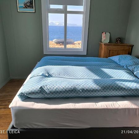 Happy-Cove Guesthouse - By The Sea Bakkafjorthur エクステリア 写真
