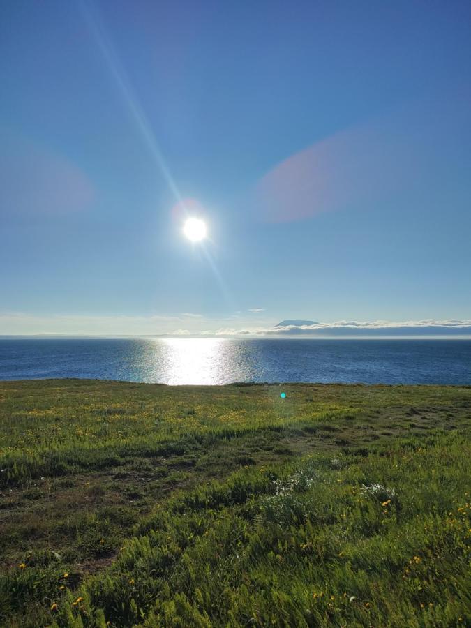 Happy-Cove Guesthouse - By The Sea Bakkafjorthur エクステリア 写真