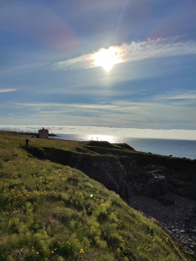 Happy-Cove Guesthouse - By The Sea Bakkafjorthur エクステリア 写真
