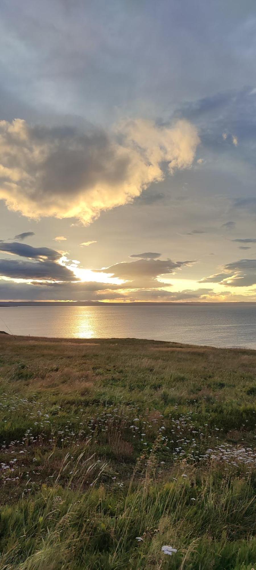 Happy-Cove Guesthouse - By The Sea Bakkafjorthur エクステリア 写真