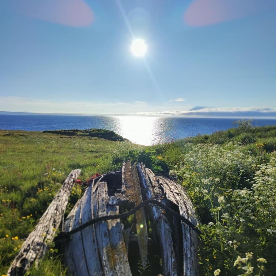 Happy-Cove Guesthouse - By The Sea Bakkafjorthur エクステリア 写真