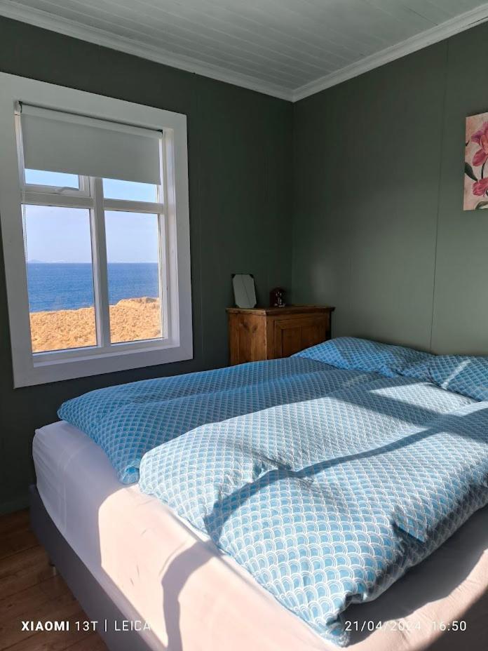 Happy-Cove Guesthouse - By The Sea Bakkafjorthur エクステリア 写真